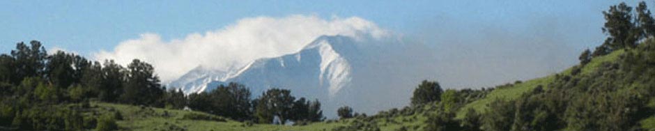 Margaret Dexter: Akashic Record Practitioner and Reiki Master / Teacher